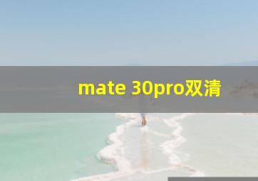 mate 30pro双清